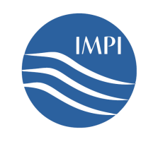 IMPI’s Modeling Workshop